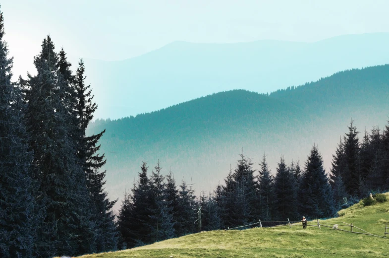 an image of a green hillside that is very high