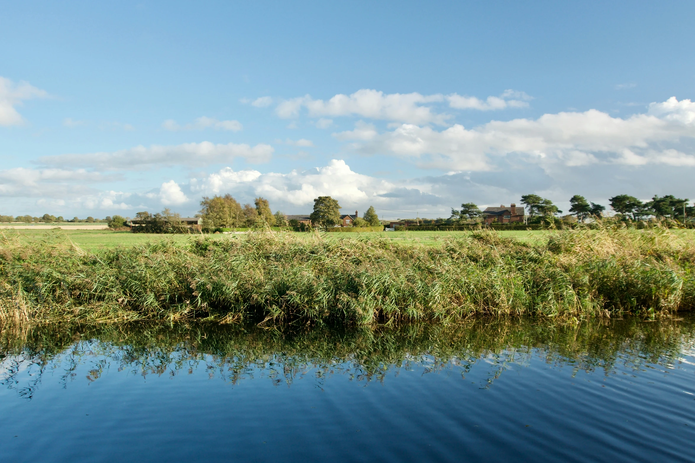 the water is still reflecting the green grassy land