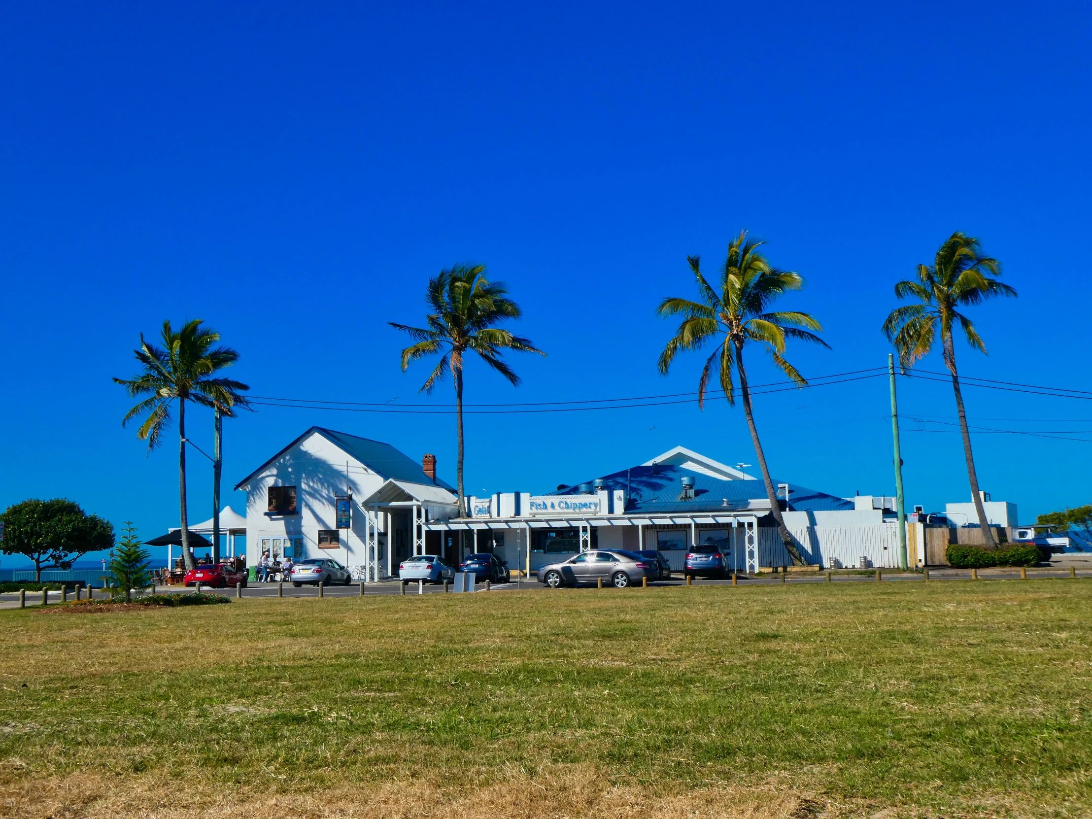 two buildings near the grass and palm trees