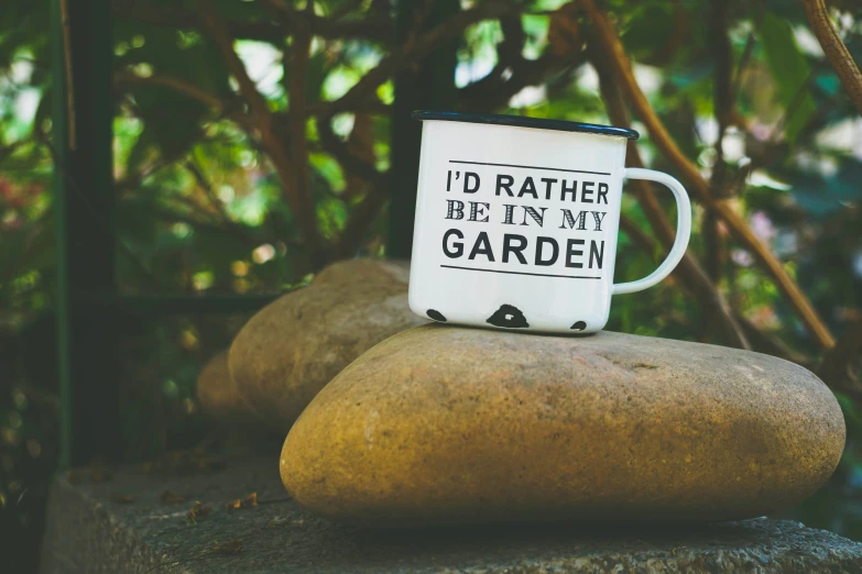 a black and white mug sitting on some rocks