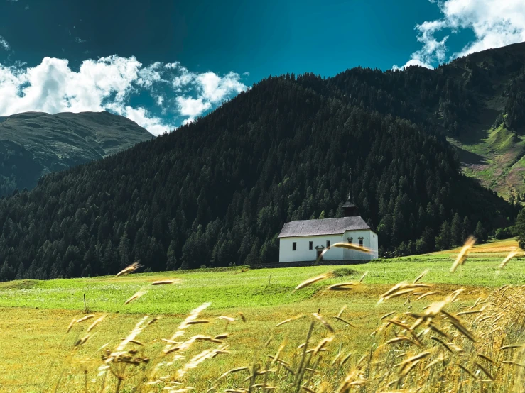 a small white house sitting on top of a lush green hillside