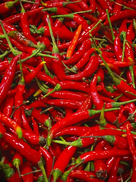 several bunches of chilli peppers in a box