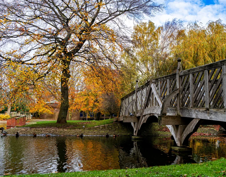 a bridge in the fall with a few ducks on the water