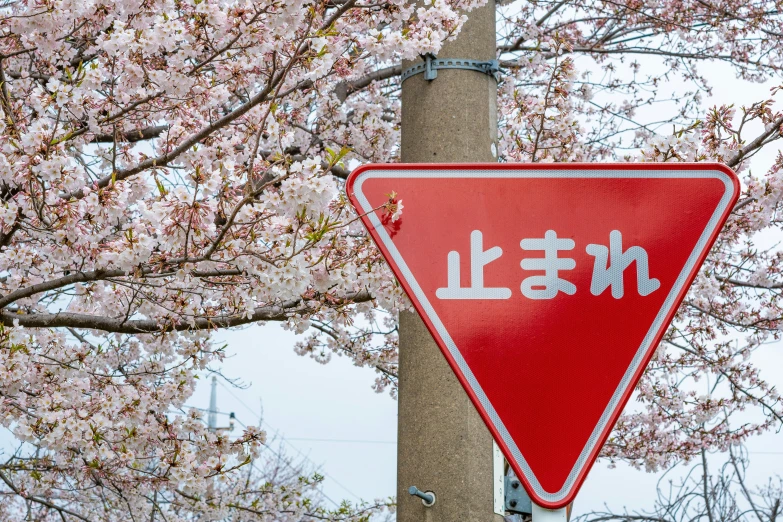 a red triangle with an oriental word on it is mounted to a pole