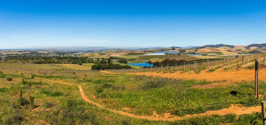 a dirt road curves to the right on a hillside