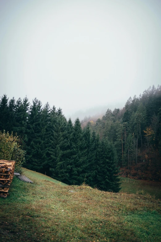 a tree stand sitting on a grassy hill