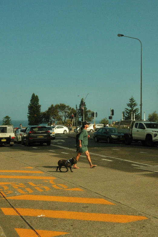 the person is walking their dog down the street