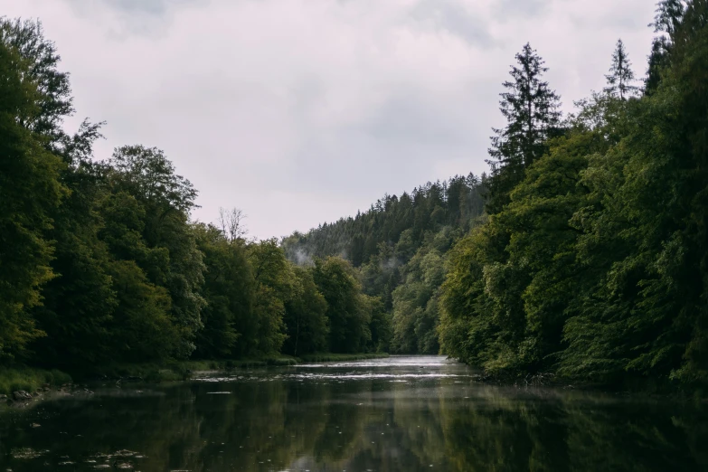 a view of some small river surrounded by trees