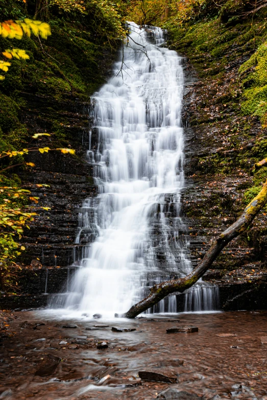 there is a large waterfall flowing in the forest