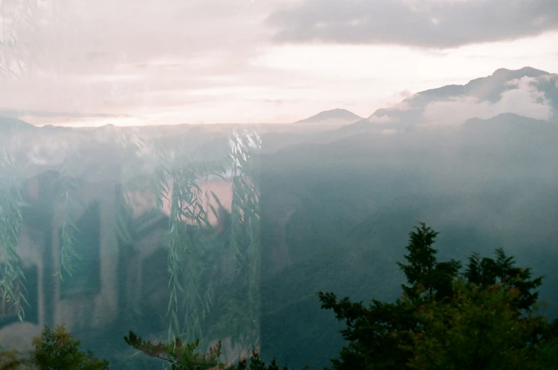 a blurry image of trees on a mountain side