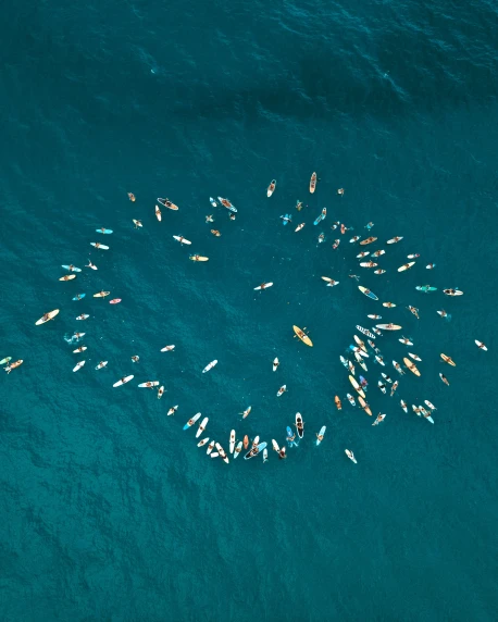 large group of colorful kayaks in ocean with many boats