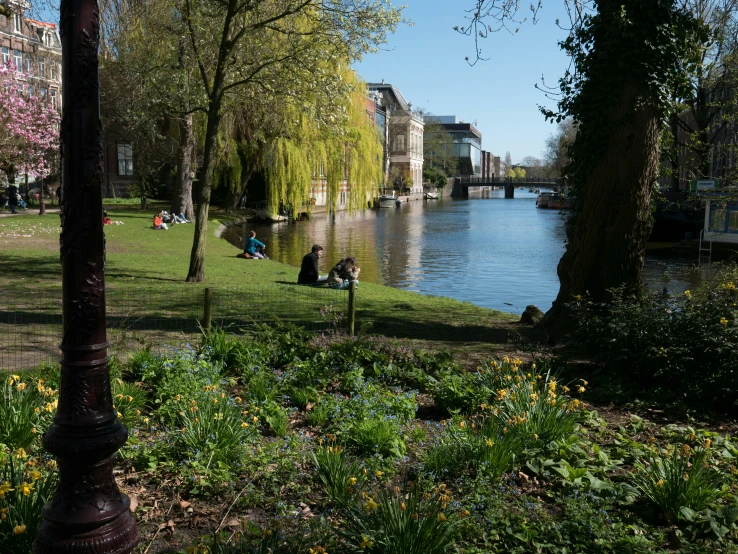 people sit on grass near water in a park