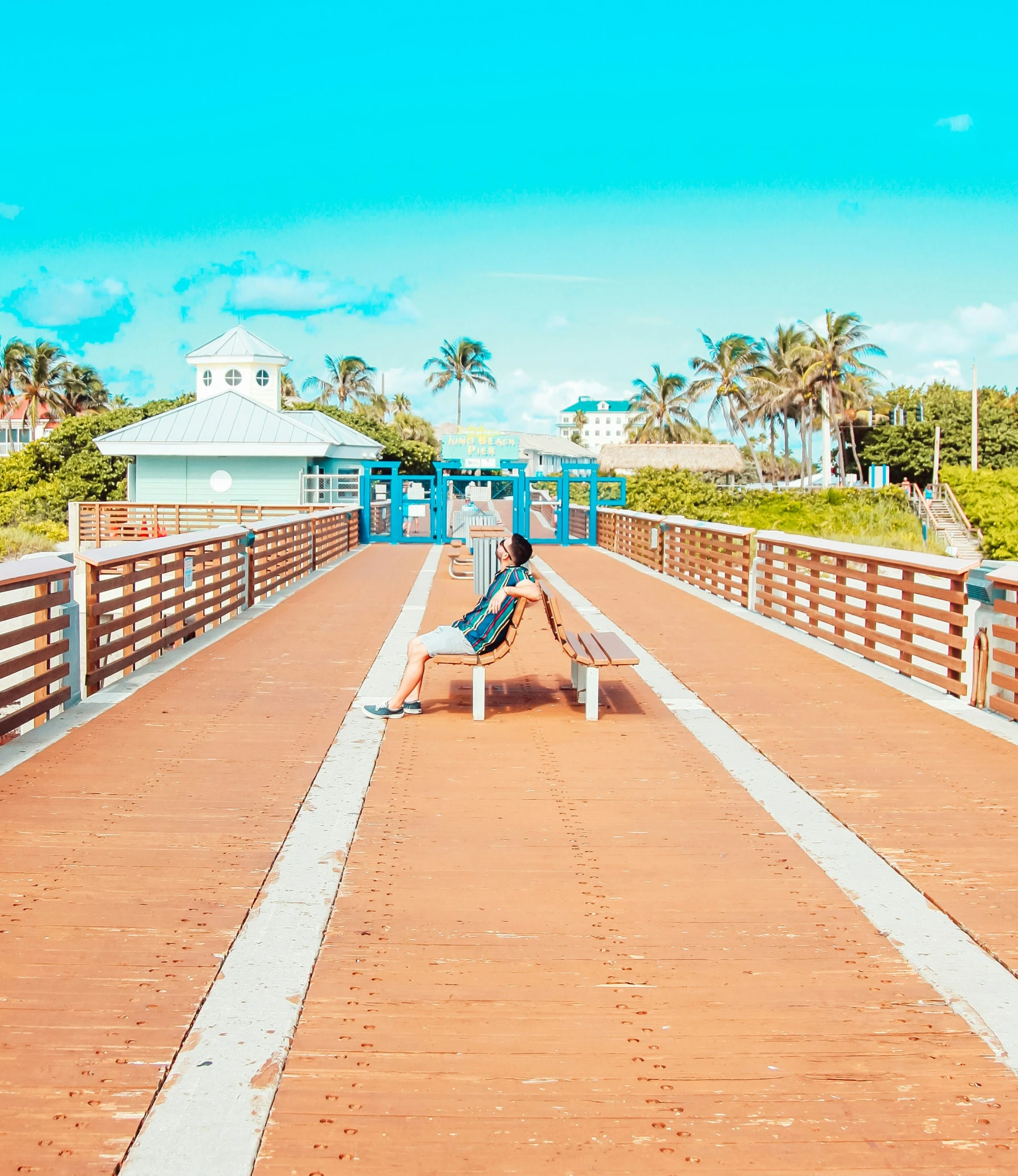 a bird sitting on top of a wooden bench