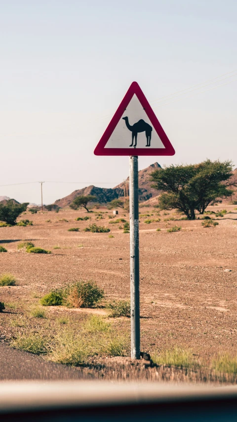 a triangle shaped street sign on a desert plain