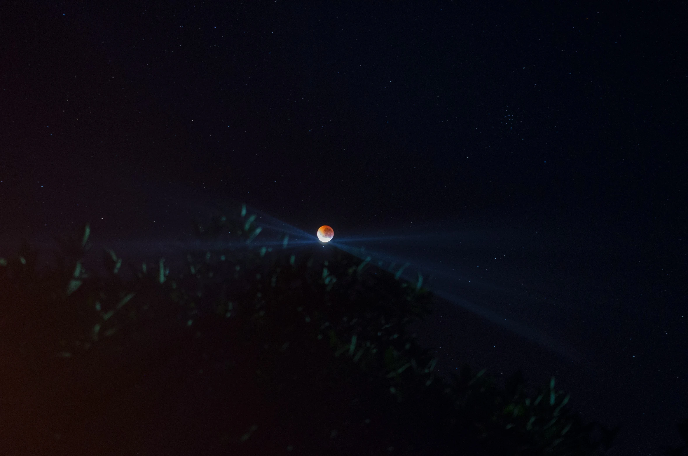 an eclipse and a ball on top of a tree