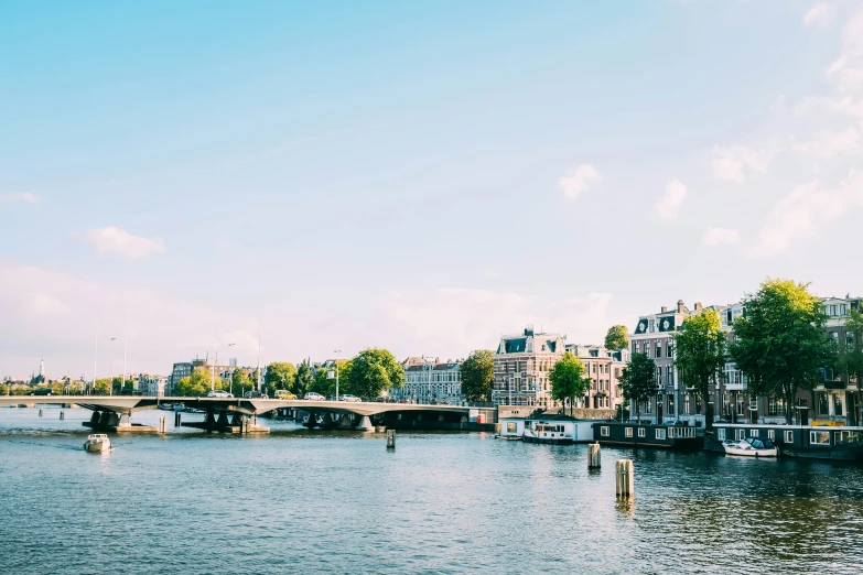 a cityscape of a city and some river, bridge, buildings, and trees