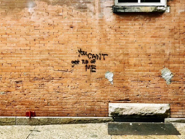 graffiti is sprayed onto a brick wall near a fire hydrant