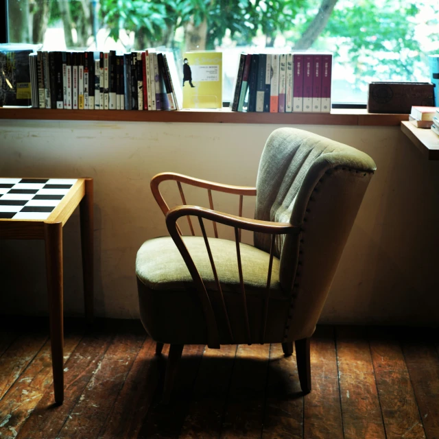 chair next to wall with bookshelves in liry