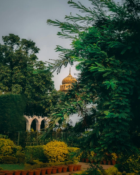 an elaborate building stands behind the trees in a lush green garden