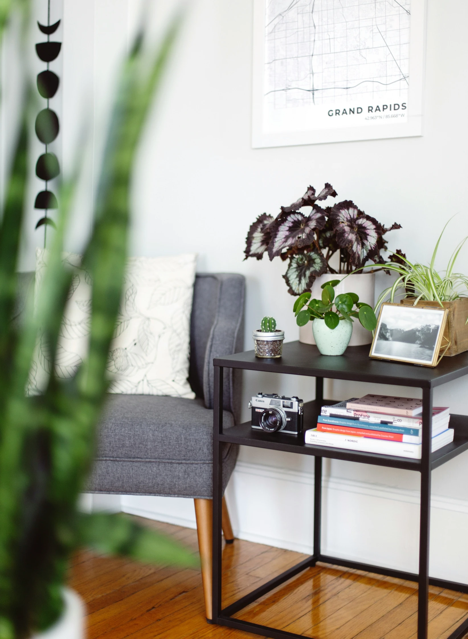 a sofa with various kinds of plants on top of it