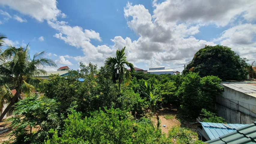 the view of a wooded area from a rooftop