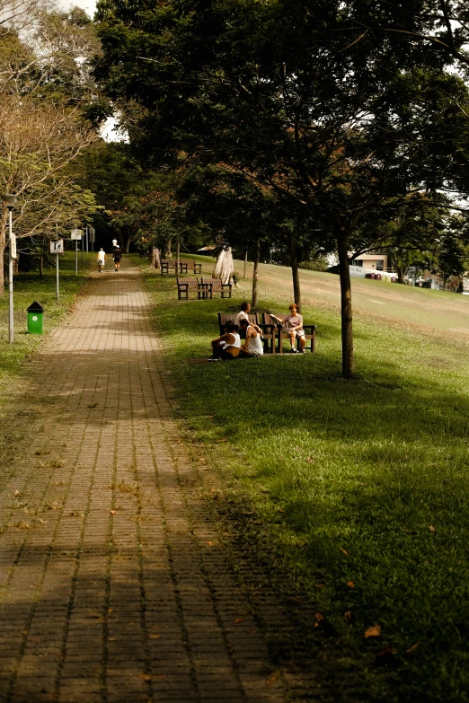 children sitting on a bench near a tree