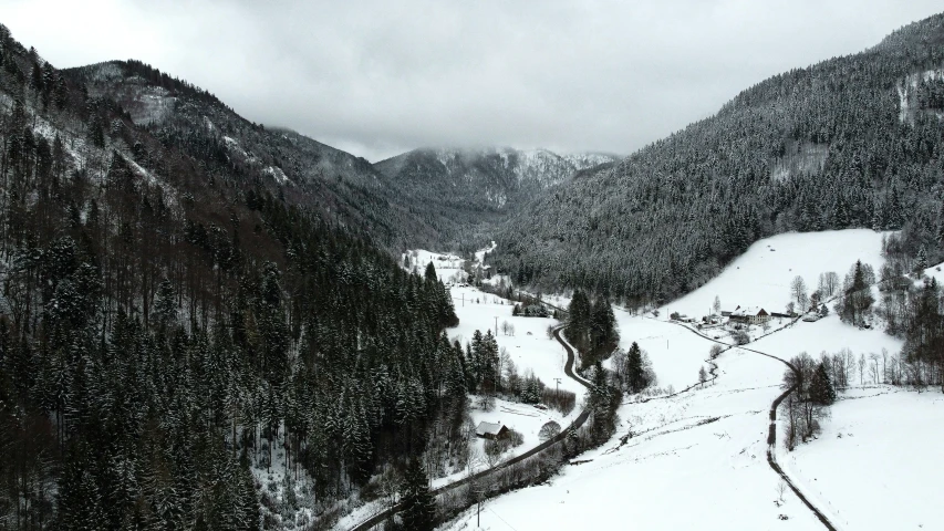 view of snowy hills and trees from a high viewpoint