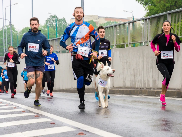 several runners running in a marathon with a dog following