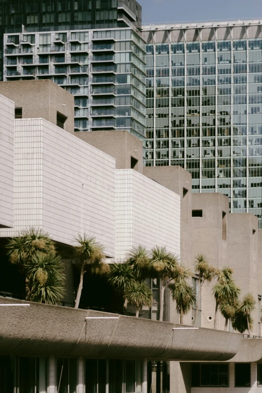 tall buildings line the streets in miami