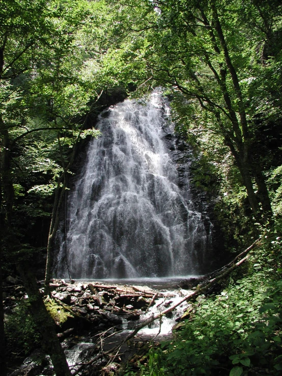 a waterfall in the woods surrounded by trees