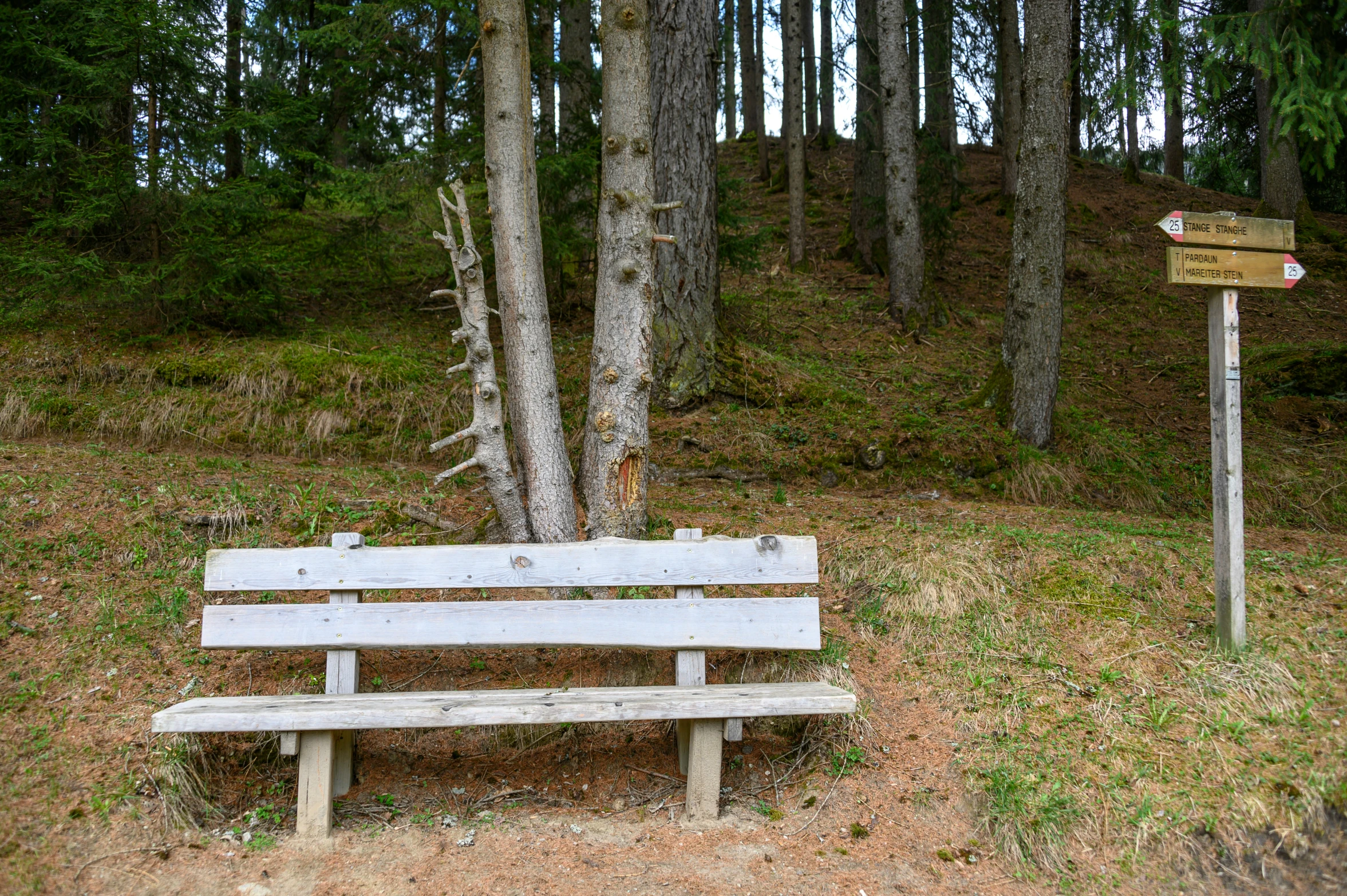 a park bench is in front of a trail sign