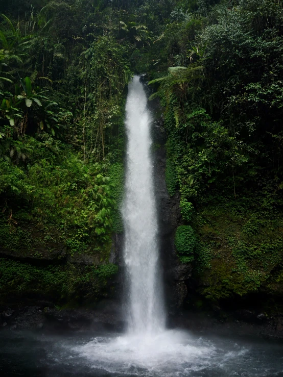 a long waterfall in the middle of a jungle