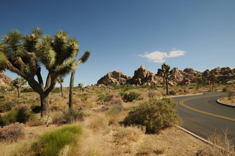 a desert road leads to a rocky landscape