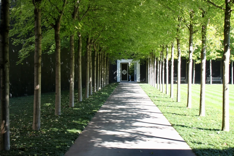 a tree lined walkway that extends out to the grassy area