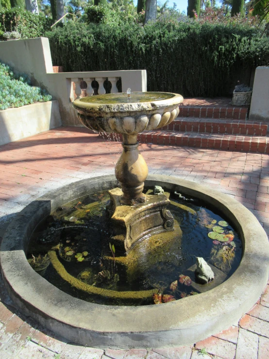 a fountain with water coming out of it sits on bricks