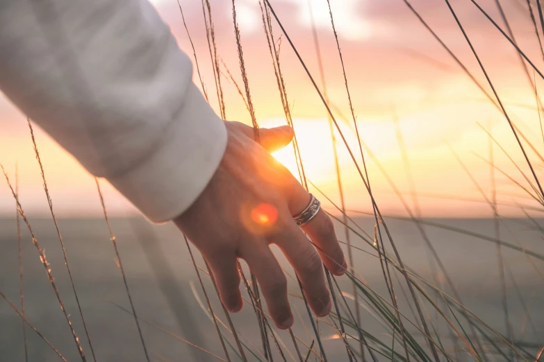 a person standing outside at sunset touching the grass