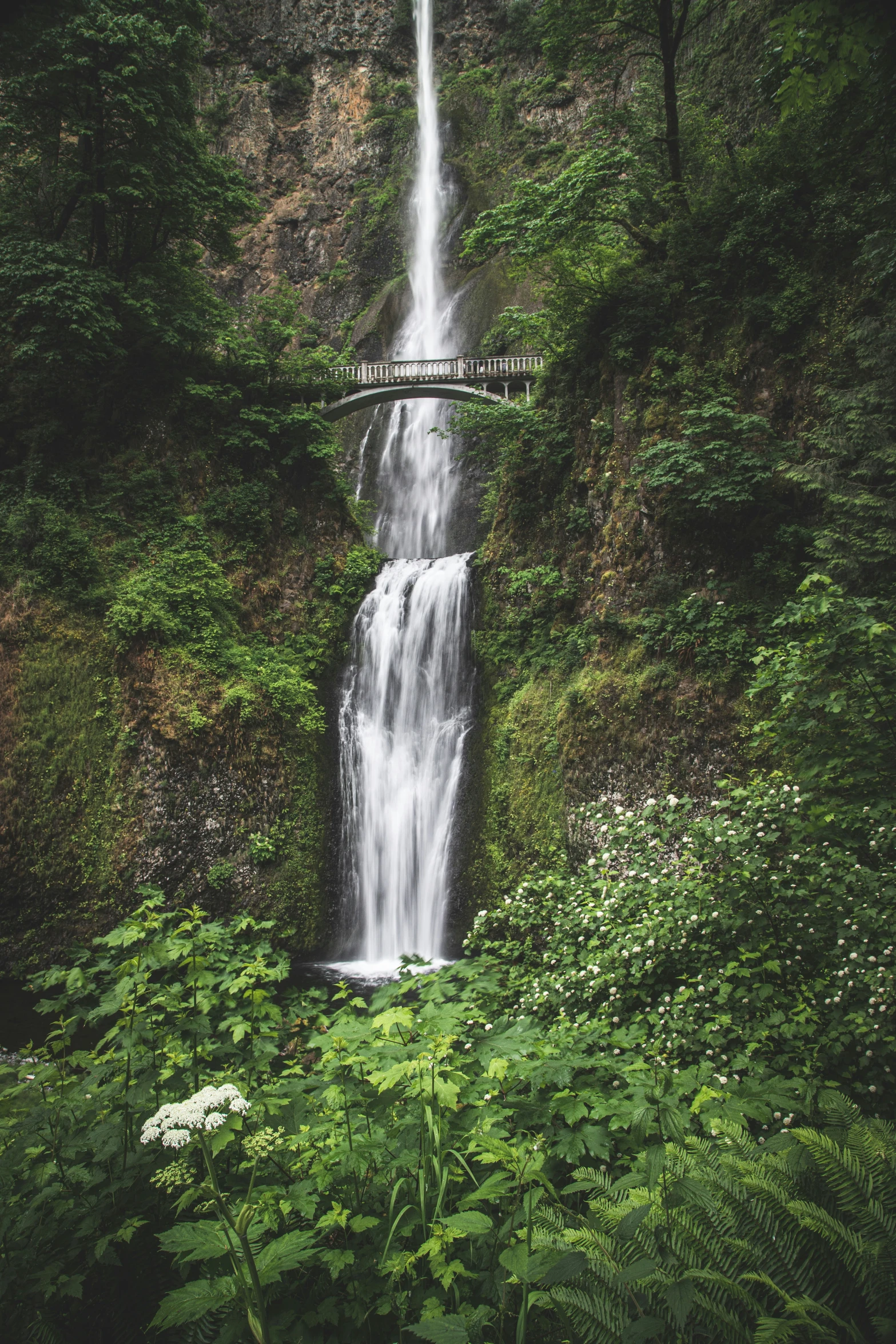 a waterfall with a bridge going over it