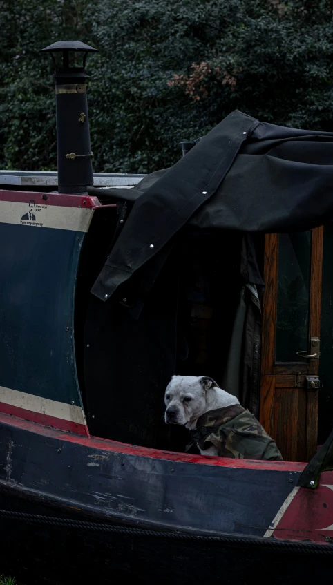 dog lying in side door on black boat with tarp open