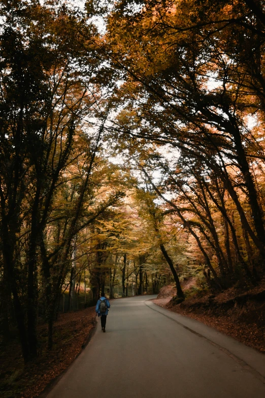 an image of a man walking down the road