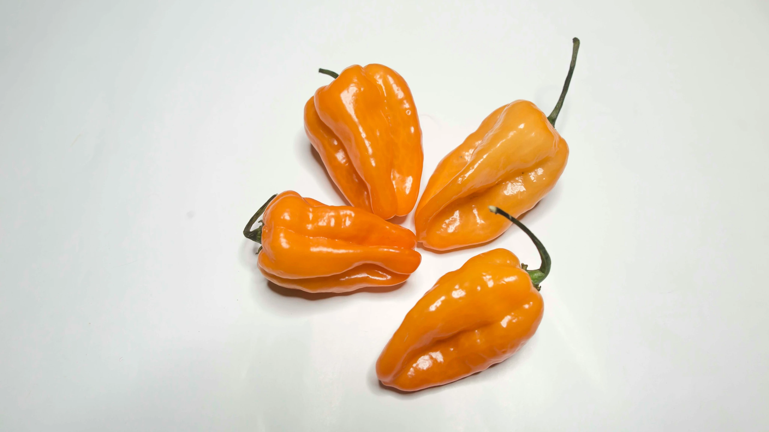 six whole orange peppers sitting together on a table