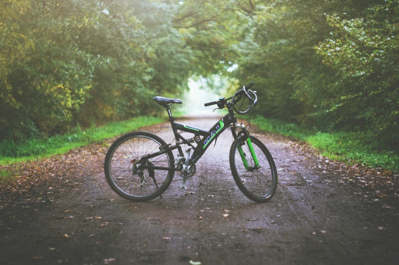 a bicycle is sitting on a dirt road in the woods