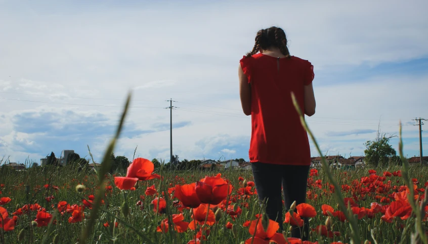 a woman with a long hair and red dress stands in a field full of red flowers