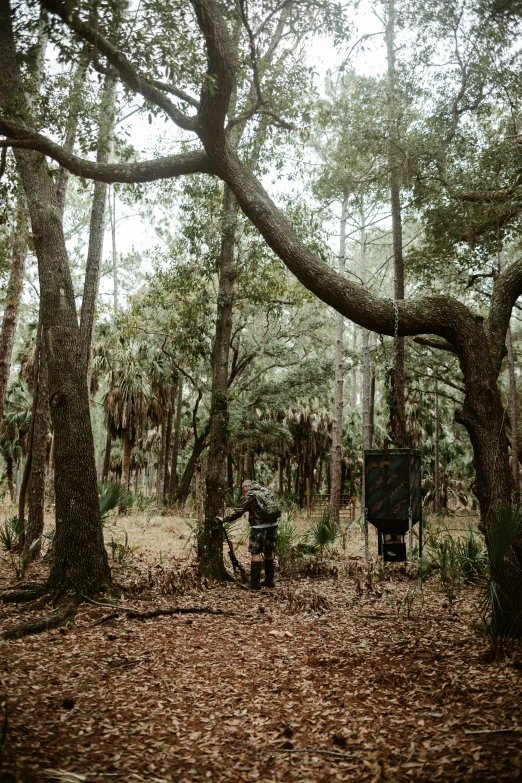 a wooded area with trees and a sign that says welcome