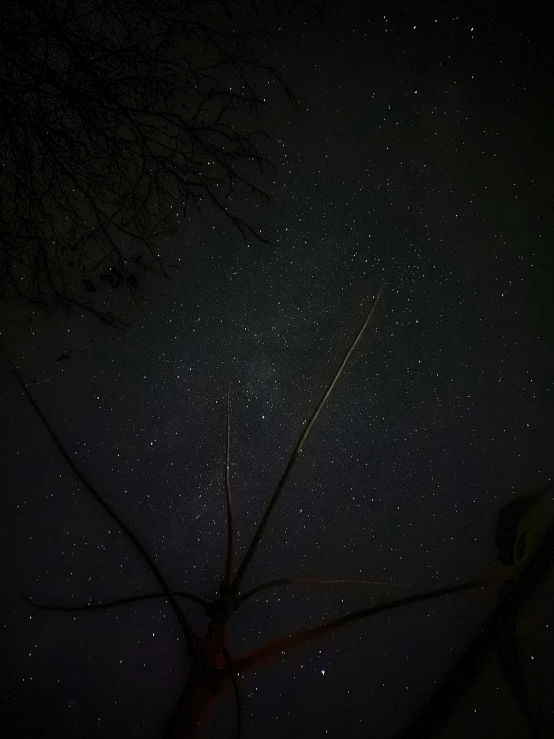 the view of the night sky from inside an airplane