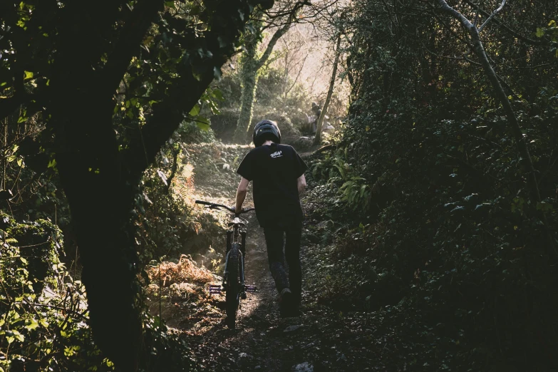 a person walking down a path through a forest with bicycles