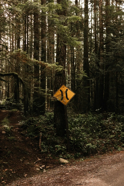 a yellow road sign next to a trail