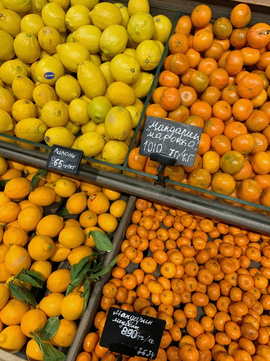 fruit on display at a grocery store for sale