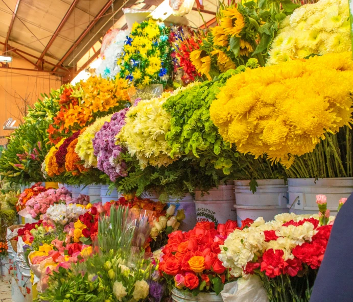 a flower market with a row of white pots