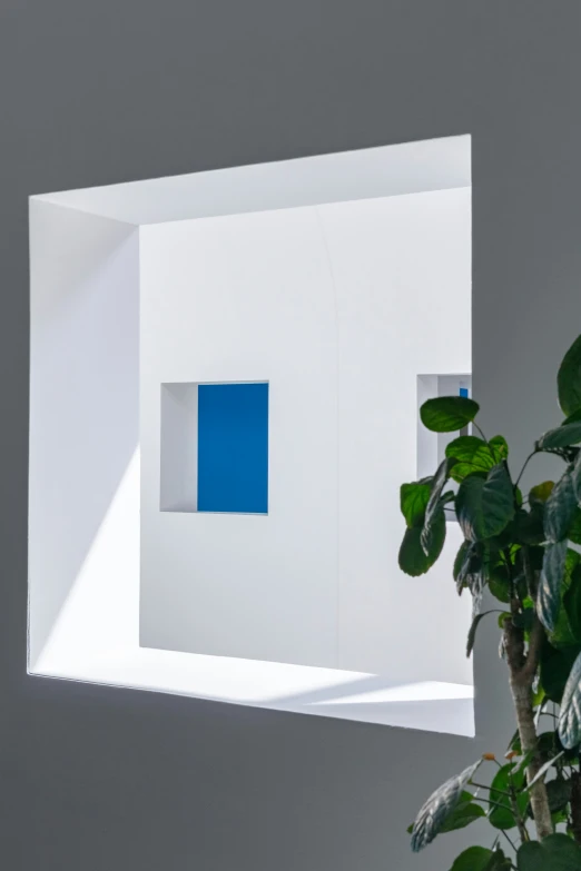 a white room with a blue square and tree