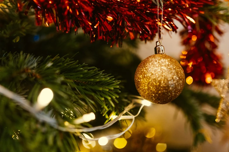 a christmas tree nch decorated with a gold ornament